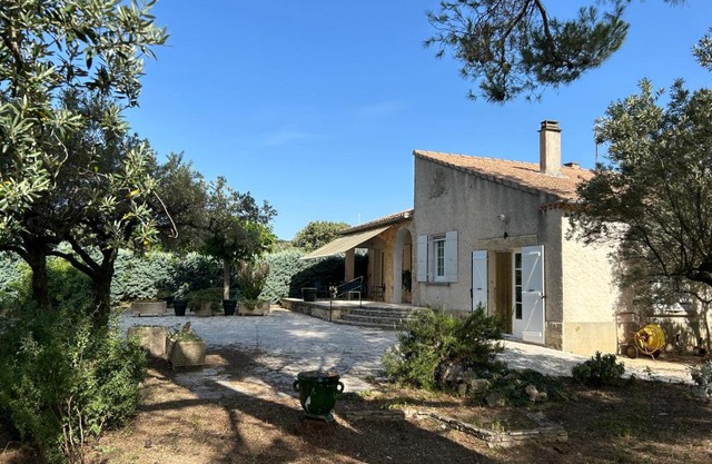 Les oliviers du pradon