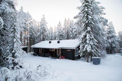 Levikoto 3 A Visit Levi