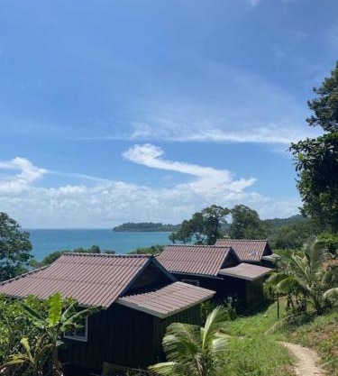Lily's Blue View