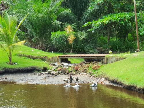 Litoral Norte Jacuípe Guarajuba