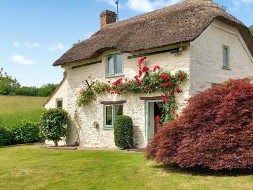 Little Thatch