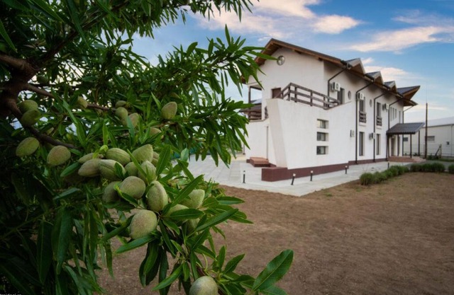 Livada lui Cezar si Rares -Casa Bunicilor