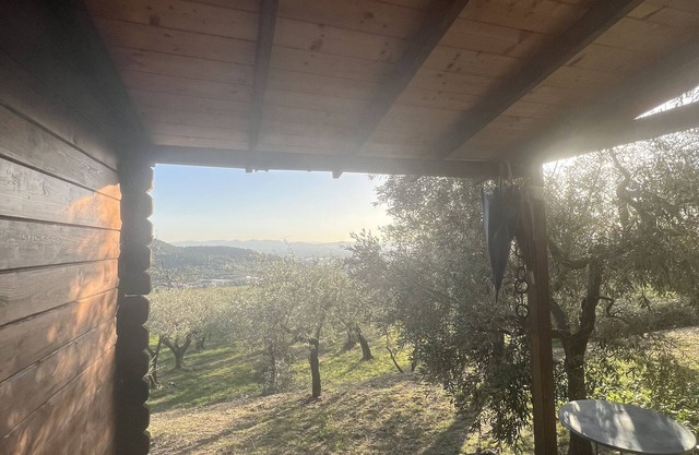 Lodge in the olive grove