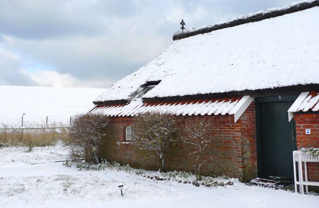 Lovely apartment in villa for 4 guests with WIFI, TV, terrace, pets allowed and parking