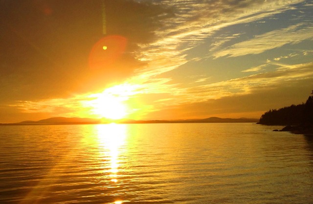 Lovely Cape Rosier Waterfront Cottage