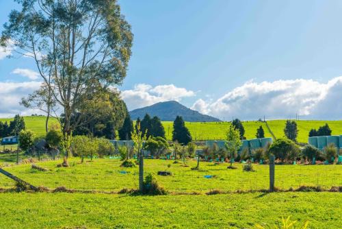 Lush Escape - Lake Taupo Holiday Home