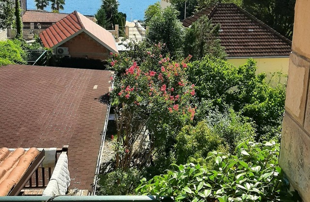 Lux apartment Ksenia 5