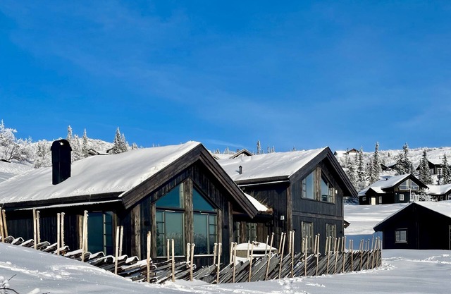 Luxury cabin on Høgevarde, comfort and nature