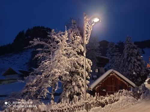 Luxury Chalet Orchidea