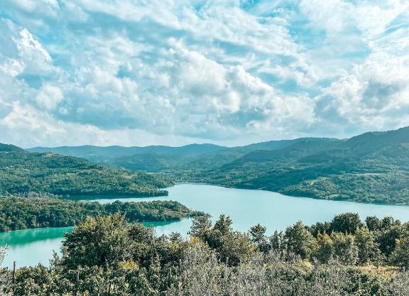 Luxury Villa Maslina with private pool & jacuzzi