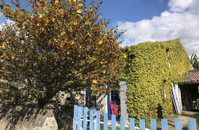 Magnificent gite in a natural area 1km from the beach