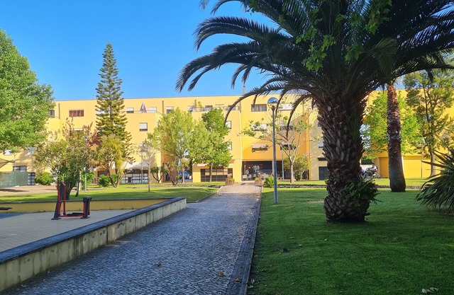 Magnificent T3 apartment in Mira center about 5 km from Praia de Mira