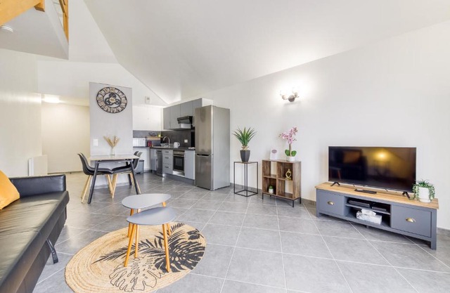 Magnifique Duplex - CDG