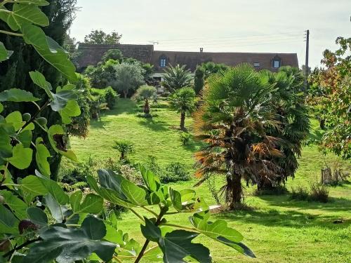Maison au calme avec jardin exotique pour 7 personnes