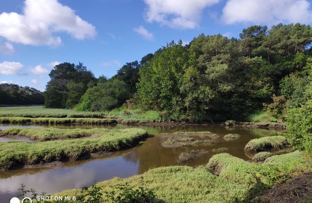 Maison Bretagne 4 ch 2 SdB Jardin Terrasse Plages