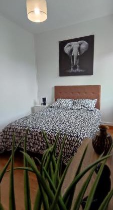 Maison charmante avec patio !