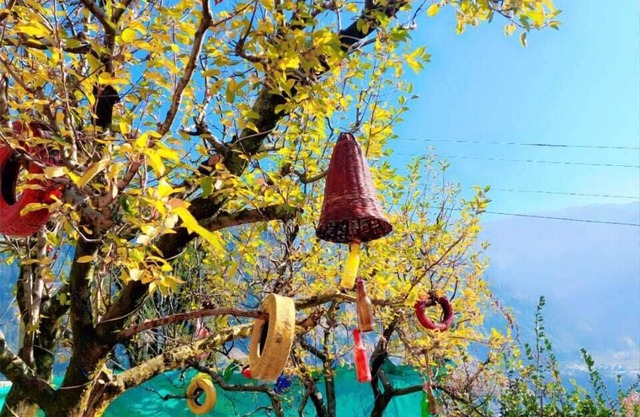 Manali Heart Villa