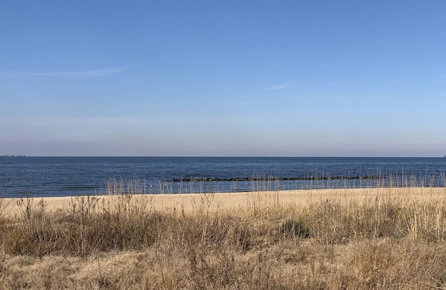 Manor and Mutts #2 - Beach Front, Pet Friendly, High Speed WiFi