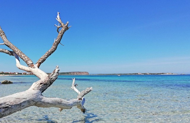 Marina Di San Vero Milis: House/Villa - Marina di San Vero Milis