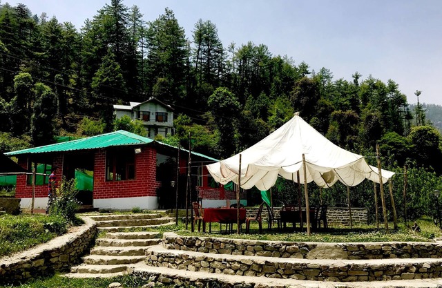 Mashobra Greens