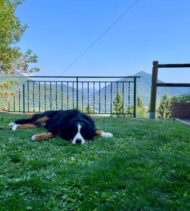 Maso Patrizia - Rifugio caldo tra le vette