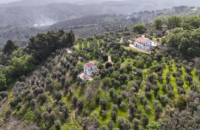 MATHEMATIC GREEN - A look at nature