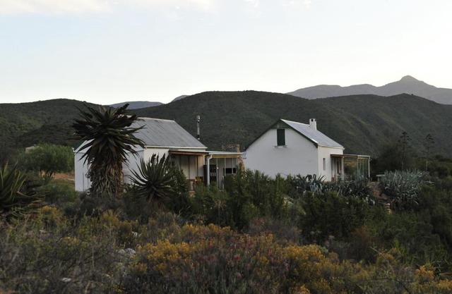 Matjiesvlei Guestfarm