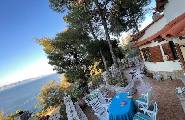 Meerblick unter Kiefern