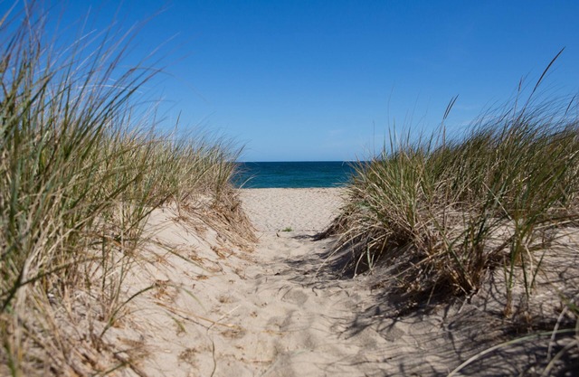MESSAGE FOR DISCOUNT 8/23-8/30nSTEPS TO SAND IN SCONSET CODFISH PARK 15 BEACH ST