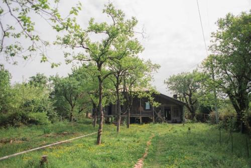 Mettavasi