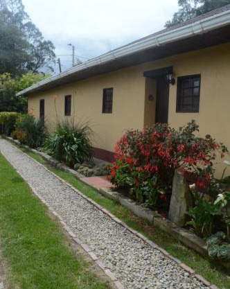 Mi casa amarilla