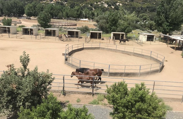 Mini Dude Ranch. nWorking Horse ranch, studio, Pet friendly, Mountain Views