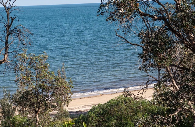 Miss Molly by Property Mums