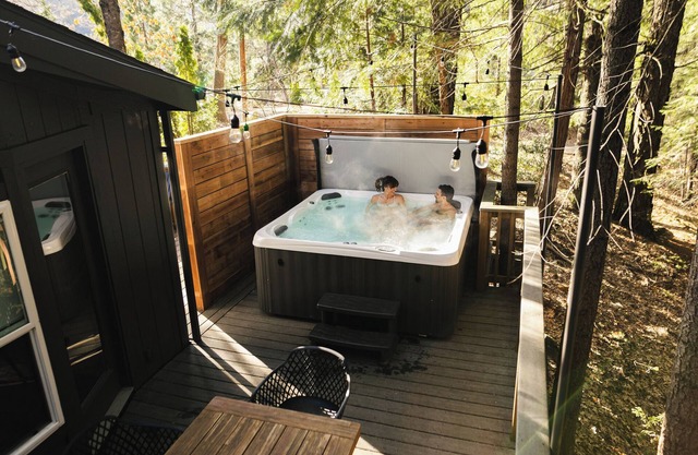 Modern Cabin (Aspen)