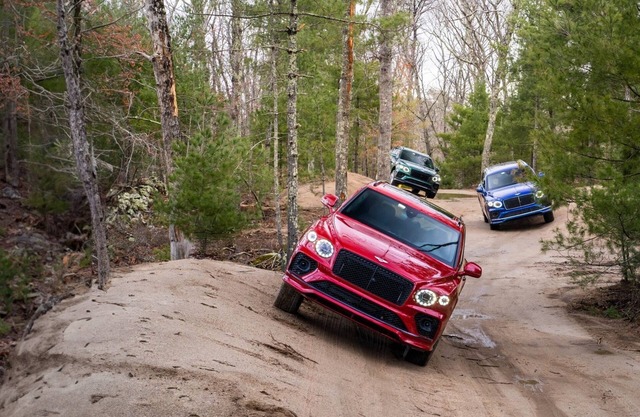 Modern Cabin w/Forest View & Access 70+ Amenities