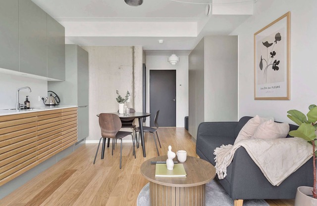 Modern luxury apartment