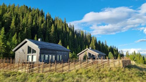 Modern mountain cabin in Tisleidalen, Golsfjellet