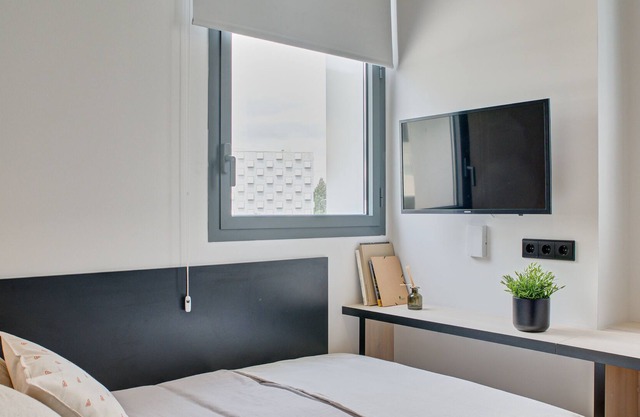 Modern Room with High-Speed Wi-Fi in Pamplona