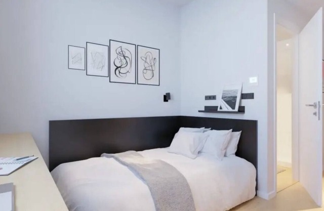 Modern Room with High-Speed Wi-Fi in Pamplona