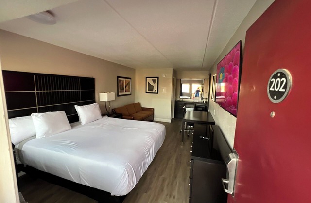 Modern Studio with King Bed and Queen Sofa Sleeper In Central Baton Rouge