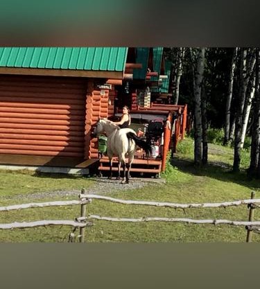 Montana Hill Guest Ranch