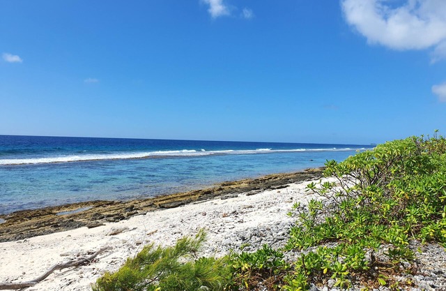 MOOREA - Fare Coraline Right