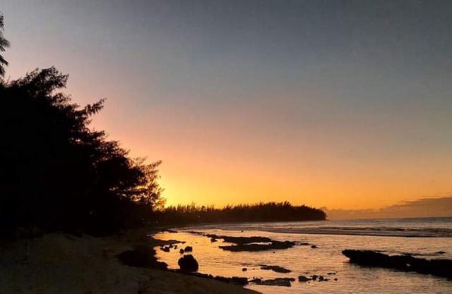 moorea temae bungalow lory bord de mer