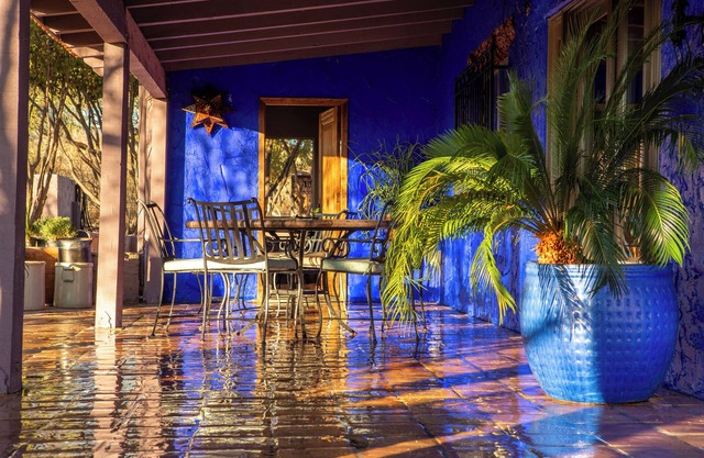 More "Custom" than Custom . 10 Acres; A Treasure for Birders