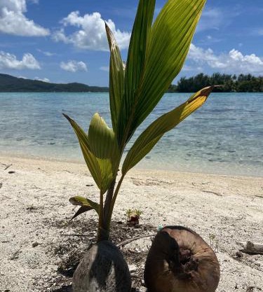 Motu ATAHIRI Camping