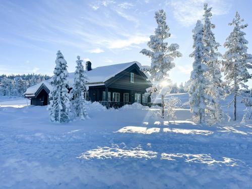 Mountain Cabin With Panoramic View In Nesbyen
