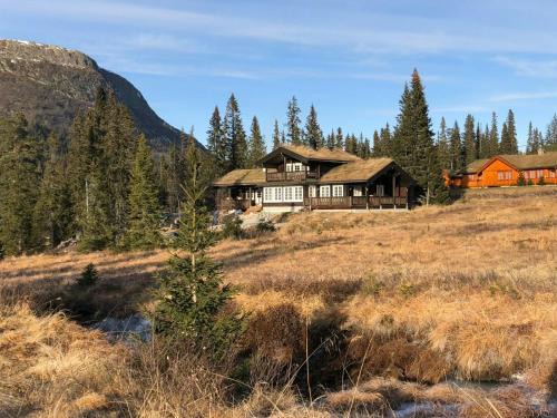 Mountain Home At Haglebu With Activities