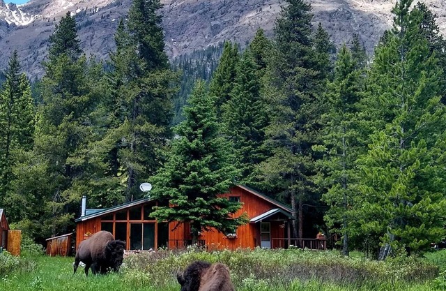 Mountain View House Right on Soda Butte Creek