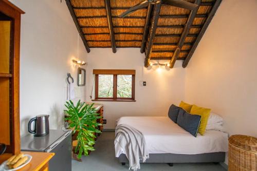 Mountain View and Vineyard View