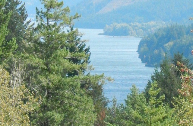 Mt Defiance Cabin with Columbia River View